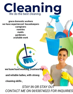 domestic workers