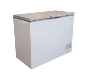 Commercial Chest Freezer