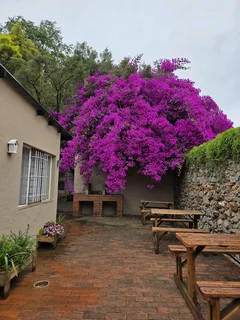 Birchway's backpackers accommodation