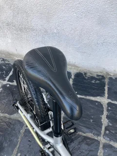 20 Inch SPECIALIZED HOTROCK Kids&#39; Mountain bike for sale