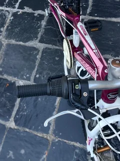 Kiddies 20 Inch SILVERBACK MOUNTAIN BKE FOR SALE