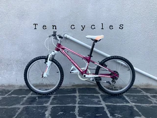 Kiddies 20 Inch SILVERBACK MOUNTAIN BKE FOR SALE