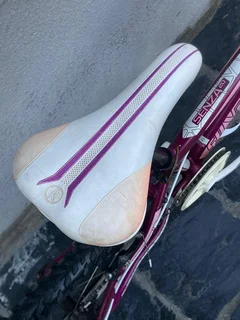 Kiddies 20 Inch SILVERBACK MOUNTAIN BKE FOR SALE