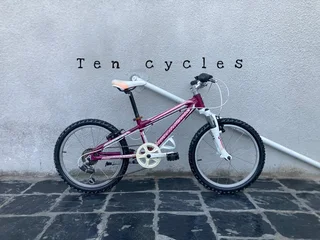 Kiddies 20 Inch SILVERBACK MOUNTAIN BKE FOR SALE