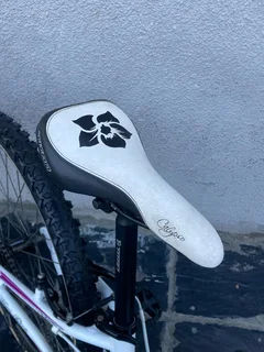 24 Inch TITAN CALYPSO Girls&#39; Mountain bike for sale