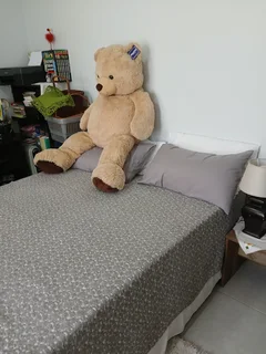 3 Bedroom Home - Vasco Estate Goodwood