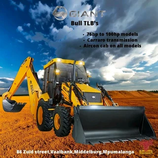 Bull TLB's available for sale at Mad Farmer SA Middelburg MP.