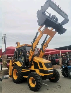 Bull TLB&#39;s available for sale at Mad Farmer SA Middelburg MP.