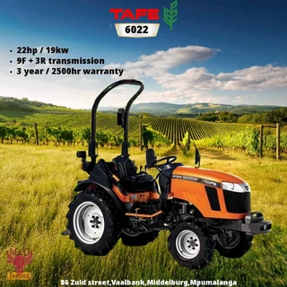 Tafe Tractors available for sale at Mad Farmer SA Middelburg MP.