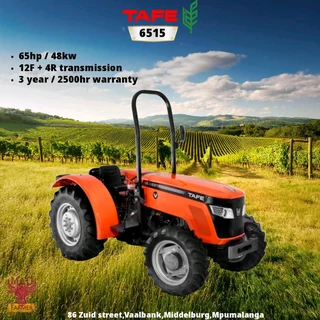 Tafe Tractors available for sale at Mad Farmer SA Middelburg MP.