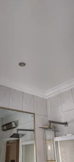 Professional painter call 0656818013