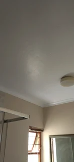 Professional painter call 0656818013