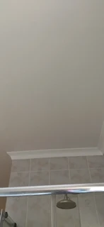 Professional painter call 0656818013