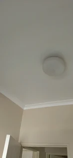 Professional painter call 0656818013