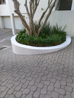 Painter , Electrician & Handyman