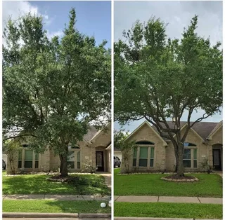 J.M Environmental Services