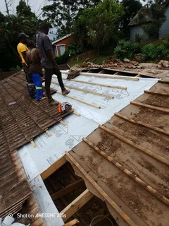 Roof Repairs.