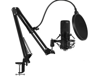 Studio Recording Condenser Microphone Kit for Network Broadcasting BM8WStudio Recording Condenser Mi