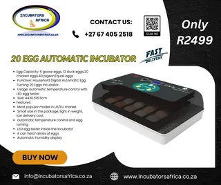 20 egg automatic incubator