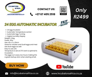24 egg automatic Incubator
