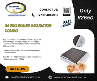 36 egg Incubator automatic roller