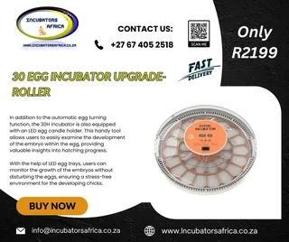 30 automatic egg Incubator roller