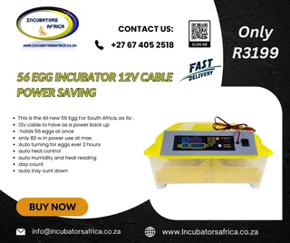 56 EGG Incubator automatic 12v & 220v