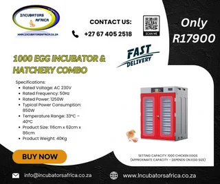 1000 EGG large Incubator automatic