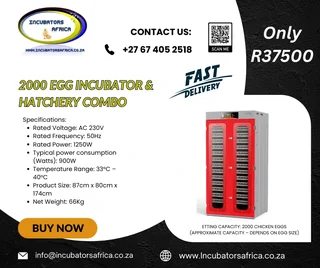 2000 EGG Incubator automatic large