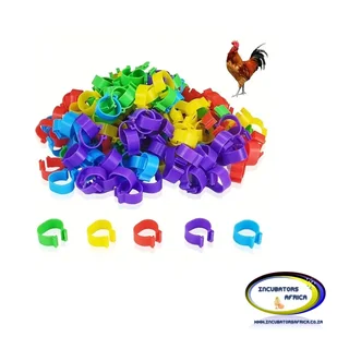 100 pack chicken feet rings mix colours vale pack
