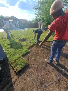 Albert garden service and landscaping