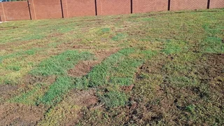 Albert garden service and landscaping