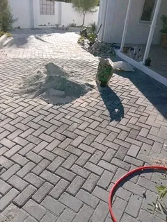 PAVING R60 per SQ Labour Only 0813664446