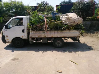 Rubbish and junk removals