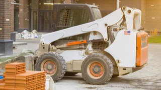 Reknown Bob Cat Training In Lydenburg Call +27769563077