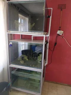 3 tier stack for sale