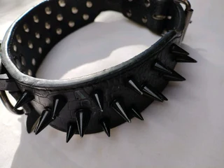 Gothic Hellhound Dog Collar (Medium to Large Pet)