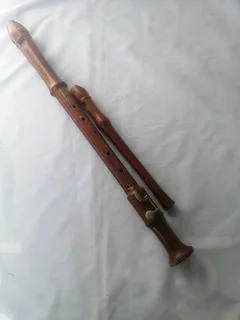 Embassy Large Woodwind Instrument & Hohner Flute Bundle