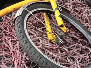 Bicycle - Ad posted by Jabulani Thango