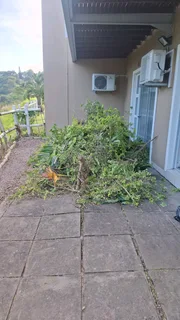 Rubble and junk removals