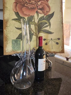Riedel wine decanter
