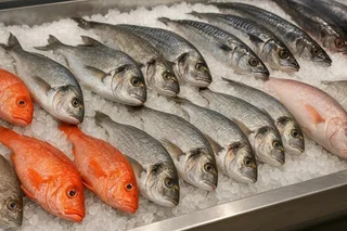 Fish Wholesaler & Retailer
