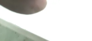 Automotive polishing buff