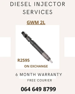 Gwm 2l Diesel Injectors For Sale