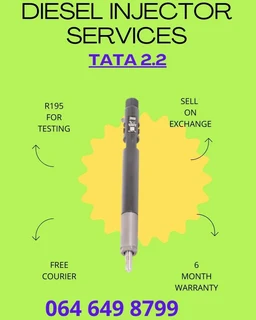 Tata 2.2 Diesel Injectors Services