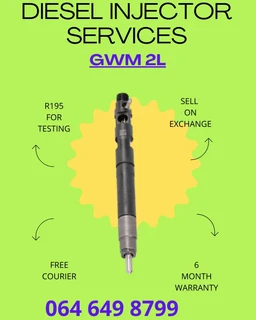 Gwm 2l Diesel Injector Services