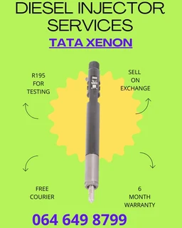 Tata Xenon Diesel Injector Services