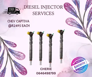 Chev Captiva Injector Recon