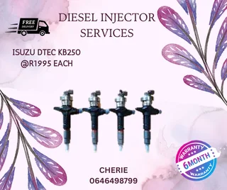 Isuzu Dtec Injector Recon