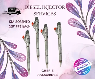 Kia Sorento Injector Recon